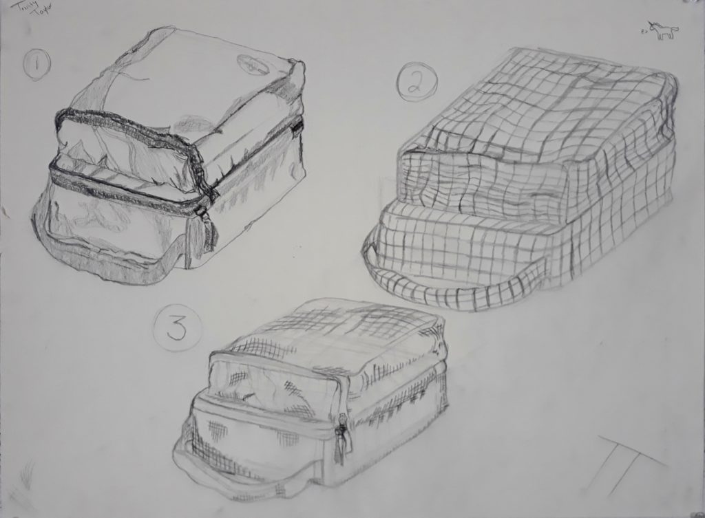 I drew the same object three different times in this picture. In the top left corner of the page is a contour drawing of my lunch box, to the right of that is a cross contour, and under both is a cross hatching.

The lunchbox itself is divided into two rectangular prisms, both the same width but one with a shorter height than the first. The lunchbox is lying at an angle in the drawings with its black handle pointing down and to the left.

In the contour drawing, one can see the designs on top of the lunchbox, including a darkened curve on the left side of the top prism. A zipper lines the top of the prism underneath. Crinkles can be seen all along the lunchbox in the form of shadows.

In the cross contour, these crinkles are seen as three dimensional waves in a two dimensional grid; however one notices that the bottom prism is mostly flat on each face.

In the cross hatching, these waves are still visible, but appear more like shadows on the lunchbox. Nothing on this drawing was colored in based on local values.