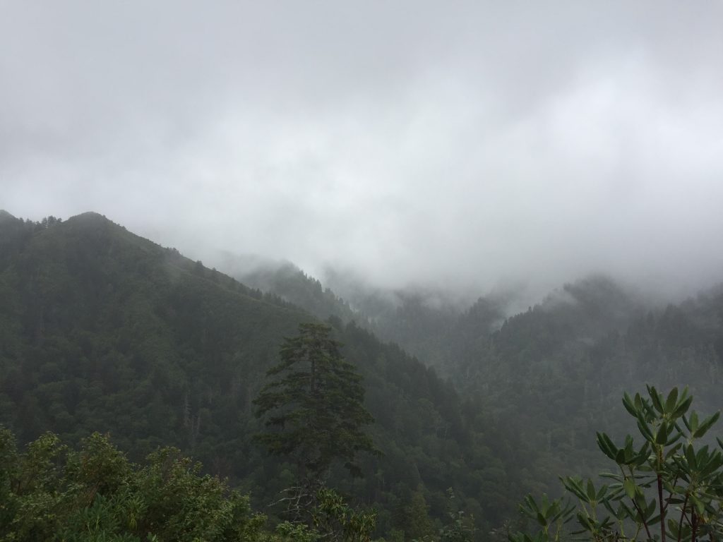 Clouds cover the tops of green tree covered hills in the distance