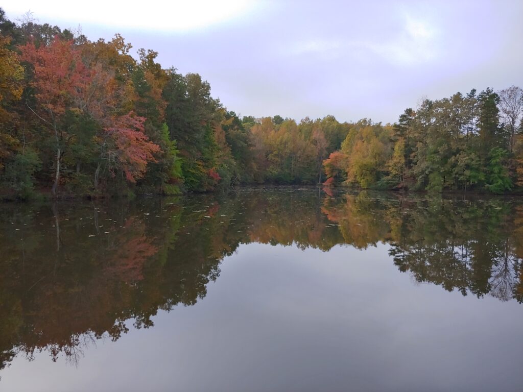 The Guilford Pond, beginning of fall, 2020.