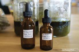 Ask Ed's Fast-Track Cannabis Tincture' — Ed Rosenthal