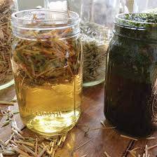 All About Herbal Infusions - Food and Recipes - Mother Earth Living