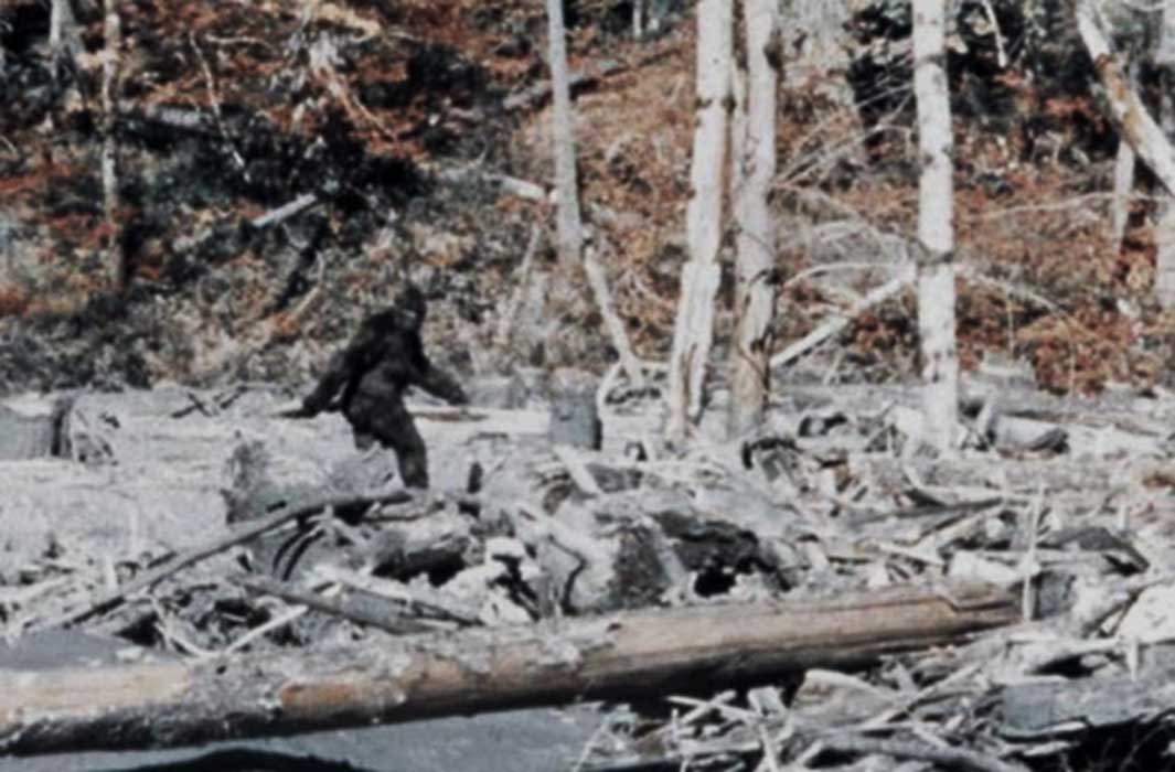 Color image of a wooded area and a bigfoot-like figure in the left-center.
