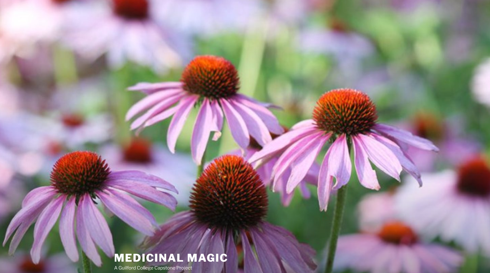 Medicinal Magic