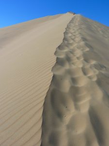 dune-43205_1920
